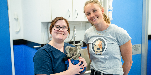 riley day rspca queensland ambassador